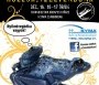 Terrarisztika kiállítás SYMA 2012 - Terrarisztika Kiállítás és Börze 