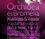  - Orchidea és Bromélia Kiállítás és Vásár