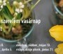 Kiskertpiac  - Kiskertpiac - zöld szerelem vasárnap