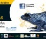 Terrarisztika kiállítás SYMA 2012 - Terrarisztika Kiállítás és Börze 