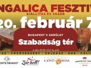 Budapesti Mangalica Fesztivál