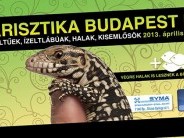 Terrarisztika Kiállítás és Börze