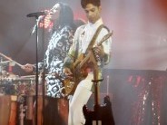 Prince koncert