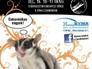Terrarisztika Kiállítás és Börze 
