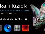 Optikai Illúziók