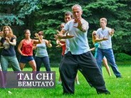TAI CHI bemutató a Margitszigeten