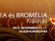 Orchidea és Bromélia Kiállítás és Vásár