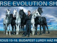 Horse Evolution Show