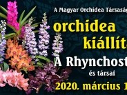 Tavaszi Orchidea kiállítás
