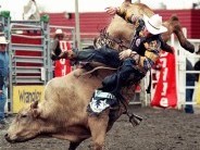 Bikarodeo - Közép-Europa Kupadöntő
