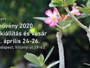 Tavaszkert Dísznövény 2020 Szakkiállítás és Vásár