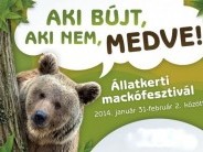Mackófesztivál