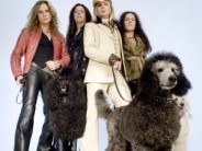 The Poodles koncert - ELMARAD!