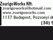 ZsurigoWorks Kft.