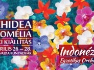 Orchidea és Bromélia Kiállítás