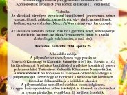 Ökocsalád - a jövő rajtunk múlik 