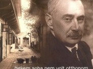 MKVM decemberi kiállítások