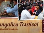 Budapesti Mangalica Fesztivál