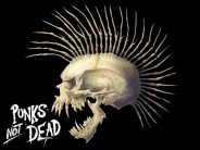 The Exploited koncert