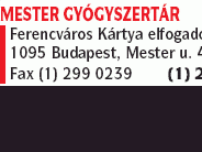 Mester Gyógyszertár