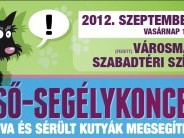 Segélykoncert az árva és sérült kutyák megsegítésére