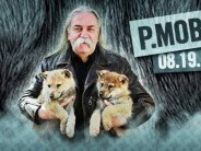 P.Mobil koncert