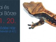 TerraAkva Terrarisztikai és Akvarisztikai Börze