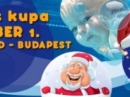 Mikulás Kupa - Stoller Babaúszó Akadémia úszóversenye