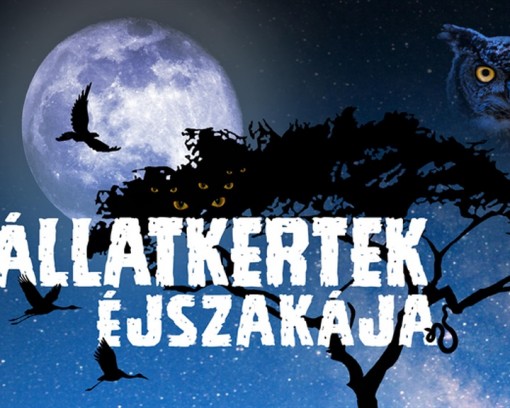   - VIII. Állatkertek Éjszakája 