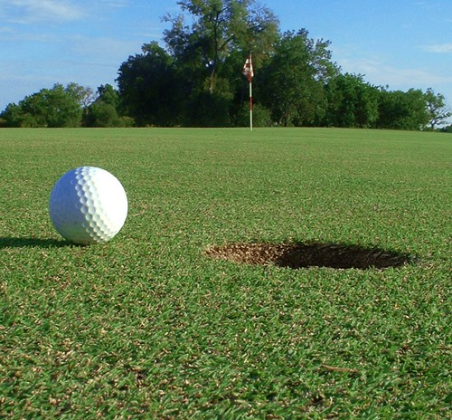 a kép illusztráció, forrása: www.sxc.hu  - Golf Expo 