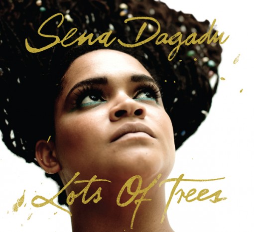   - Sena Dagadu: Lots of Trees lemezbemutató koncert
