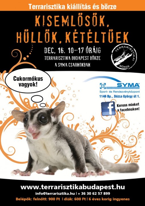 Terrarisztika kiállítás SYMA 2012  - Terrarisztika Kiállítás és Börze 