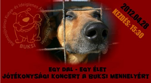   - Jótékonysági koncert a Buksi Menhelyért