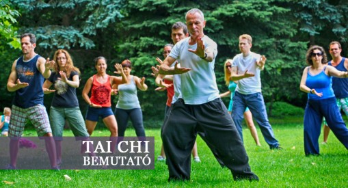 TAI CHI BEMUTATÓ A MARGITSZIGETEN  - TAI CHI bemutató a Margitszigeten