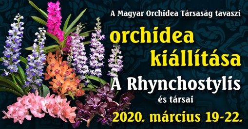 Tavaszi Orchidea kiállítás 2020  - Tavaszi Orchidea kiállítás
