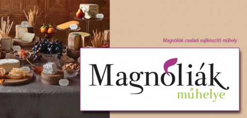 Magnóliák Műhely  - MKVM februári programok