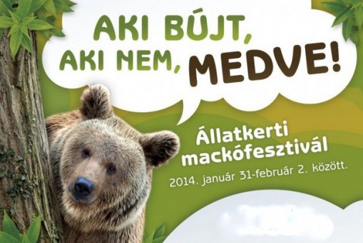   - Mackófesztivál
