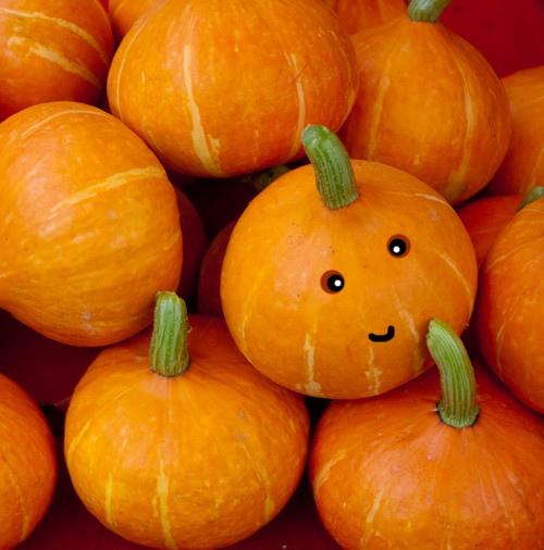   - Halloween a Millenárison