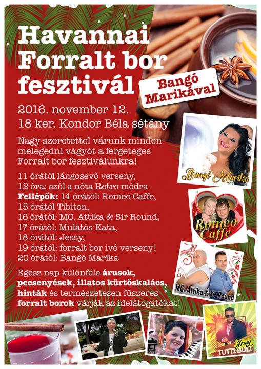   - HAVANNAI FORRALT BOR FESZTIVÁL  november 12.