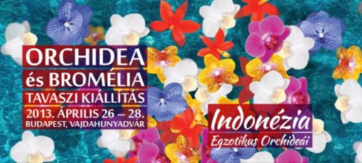 Orchidea és Bromélia Kiállítás 2013  - Orchidea és Bromélia Kiállítás