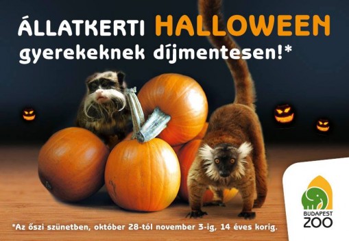 Állatkerti Halloween 2013  - Állatkerti Halloween
