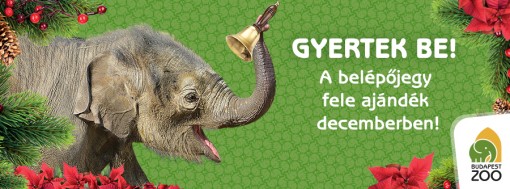 Állatkerti belépőjegyek féláron decemberben 2013  - Állatkerti Advent
