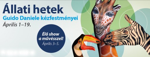 Állati hetek az Allee-ban  - Állati hetek