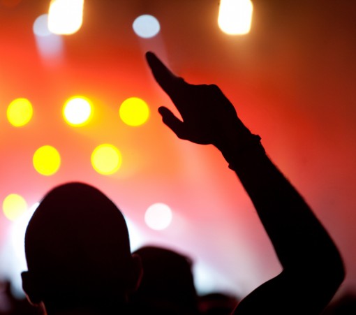   - Lamb koncert